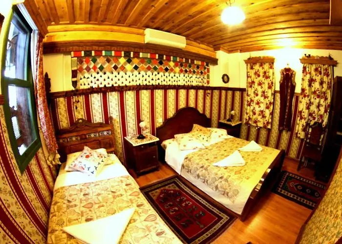 Guest house Homeros & *