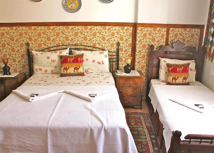 Guest house Homeros &